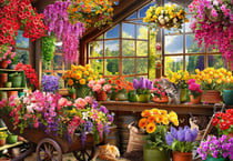 Puzzle 1000 pièces - La Cabane de Rempotage - Bluebird Puzzle