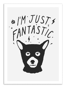 Affiche - I'm just Fantastic - Florent Bodart