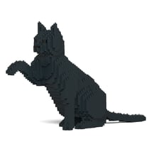 Chat noir qui donne la patte | JEKCA | 14 ans et +