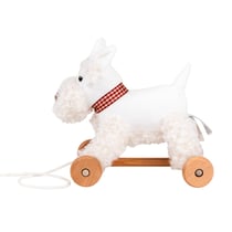 Lola le chien à tirer