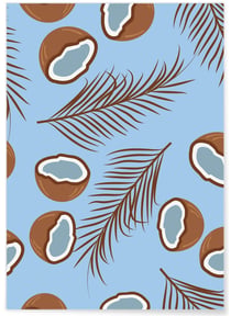 Affiche Noix de coco | A3 : 29,7x42cm