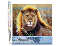 Peinture par Numéro Figured'Art - Lion dans la savane - Kit de Loisir Créatif DIY Numéro d'Art Complet - 40x50cm sans châssis en bois