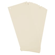Paquet 100 fiches intercalaires horizontales unies perforées - 105x240mm - Ivoire - x 12 - Exacompta
