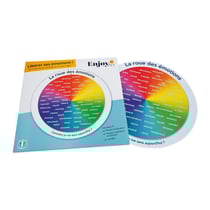 Roue des émotions vocabulaire - De 7 à 99 ans