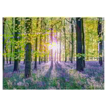 Puzzle 1000 pcs Tapis de campanules dans les bois