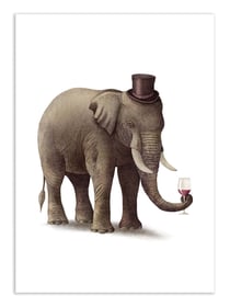 Affiche 50 x 70 cm -  A fine vintage - Terry Fan