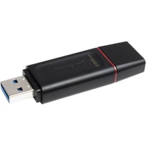 KINGSTON Clé USB 3.2 256Go EXODIA