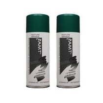 Lot de 2 sprays de peinture - vert jardin - AMT