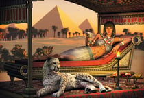 Dinner at the Pyramids