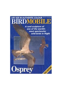 Birdmobile Balbuzard pêcheur