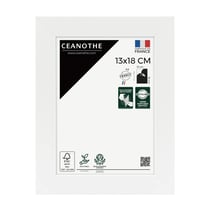 Cadre photo Wild ébène 60x80 cm avec passe-partout 40x50 cm