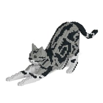 Chat American Shorthair qui s'étire | JEKCA | 14 ans et +