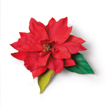 Gabarit de découpe pour machine Sizzix - Poinsettia élégant - Thinlits