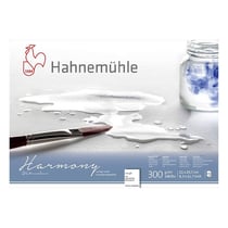 Bloc aquarelle Harmony 300g/m2 12feuilles grain torchon A4 - Hahnemühle