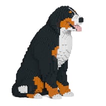 Chien Bouvier Bernois assis Taille standard | JEKCA | 14 ans et +