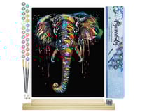 Peinture par Numéro Figured'Art - Peinture Elephant - Kit de Loisir Créatif DIY Numéro d'Art Complet - 40x50cm toile roulée + châssis en bois à monter