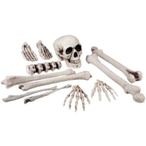 Set 12 Têtes de Mort + Os