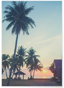 Poster Nature Tropicale 7 | A3 : 29,7x42cm