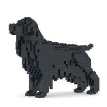 Chien Cocker Anglais noir Taille standard | JEKCA | 14 ans et +