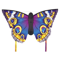 BUTTERFLY (Buckeye) L 130 x 80
