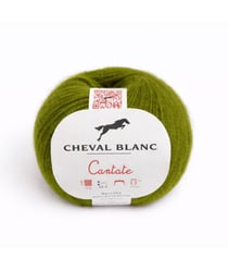 Pelote à tricoter laine et mohair CANTATE - Cheval blanc 057 Kaki