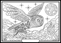 Tableau velours a colorier CHOUETTE  GREGORY Sericolor