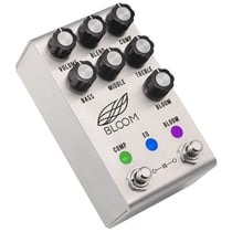 Bloom Midi Stainless Steel Jackson Audio