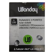 Boite de 100 Punaises 3 Pointes Acier Nickelé