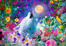 La Nuit du Loup