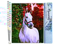 Peinture par Numéro Figured'Art - Cheval et fond coloré - Kit de Loisir Créatif DIY Numéro d'Art Complet - 40x50cm sans châssis en bois