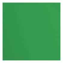 Papier cartonné texturé Florence - Holly - 20 feuilles - 30,5 x 30,5 cm - 216 g/m²
