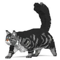Chat Maine Coon gris | JEKCA | 14 ans et +