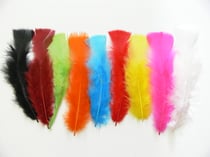 150 Plumes Duvet 15 cm - 25 gr - assorties