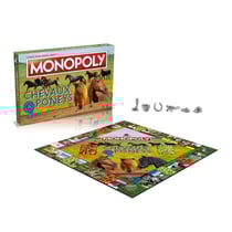 Monopoly Chevaux et Poneys - Jeu de plateau - Enfant - Jeu d'ambiance - Vert
