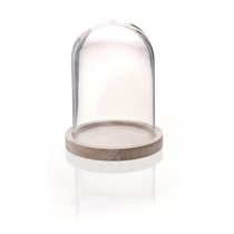 CLOCHE VERRE + SOCLE BOIS Ø12 H16CM