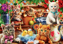 Puzzle 1000 pièces - Kittens in the Potting Shed - Bluebird Puzzle