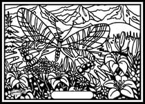 Tableau velours a colorier Papillon Bhoutan Sericolor