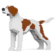 Chien Pointer Anglais taches marrons Taille standard | JEKCA | 14 ans et +