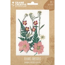 FLEURS PRESSEES PRAIRIE ROUGE - 13 PCS