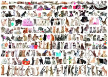 Puzzle 1000 pièces - Un Monde de Chats - Eurographics