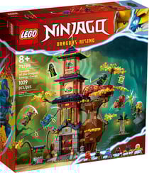 LEGO® 71795 - Temple des cœurs d'énergie du dragon - LEGO® Ninjago