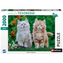 Puzzle 2D 2000 pièces - Chatons Sibériens - Nathan