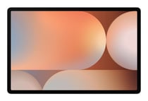 Tablette Samsung Galaxy Tab S10+ stockage 256 Go RAM 12 Go gris 13 mpx 12.4