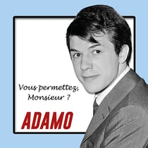 Vous permettez, Monsieur ? - CD