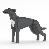 Chien Lévrier Anglais gris Taille standard | JEKCA | 14 ans et +