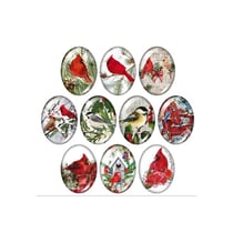 10 cabochons ovale en verre assorties 18 x 25 mm OISEAU HIVER