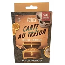 Carte au trésor – Jeu de logique 40 défis – Professor Puzzle