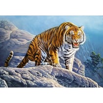 Puzzle le tigre du bengale sur le rocher 500 pieces - collection animaux sauvages