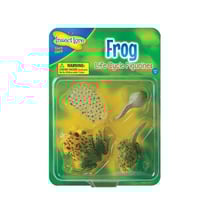 Figurines métamorphose grenouille