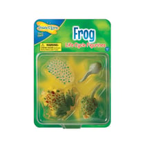 Figurines métamorphose grenouille